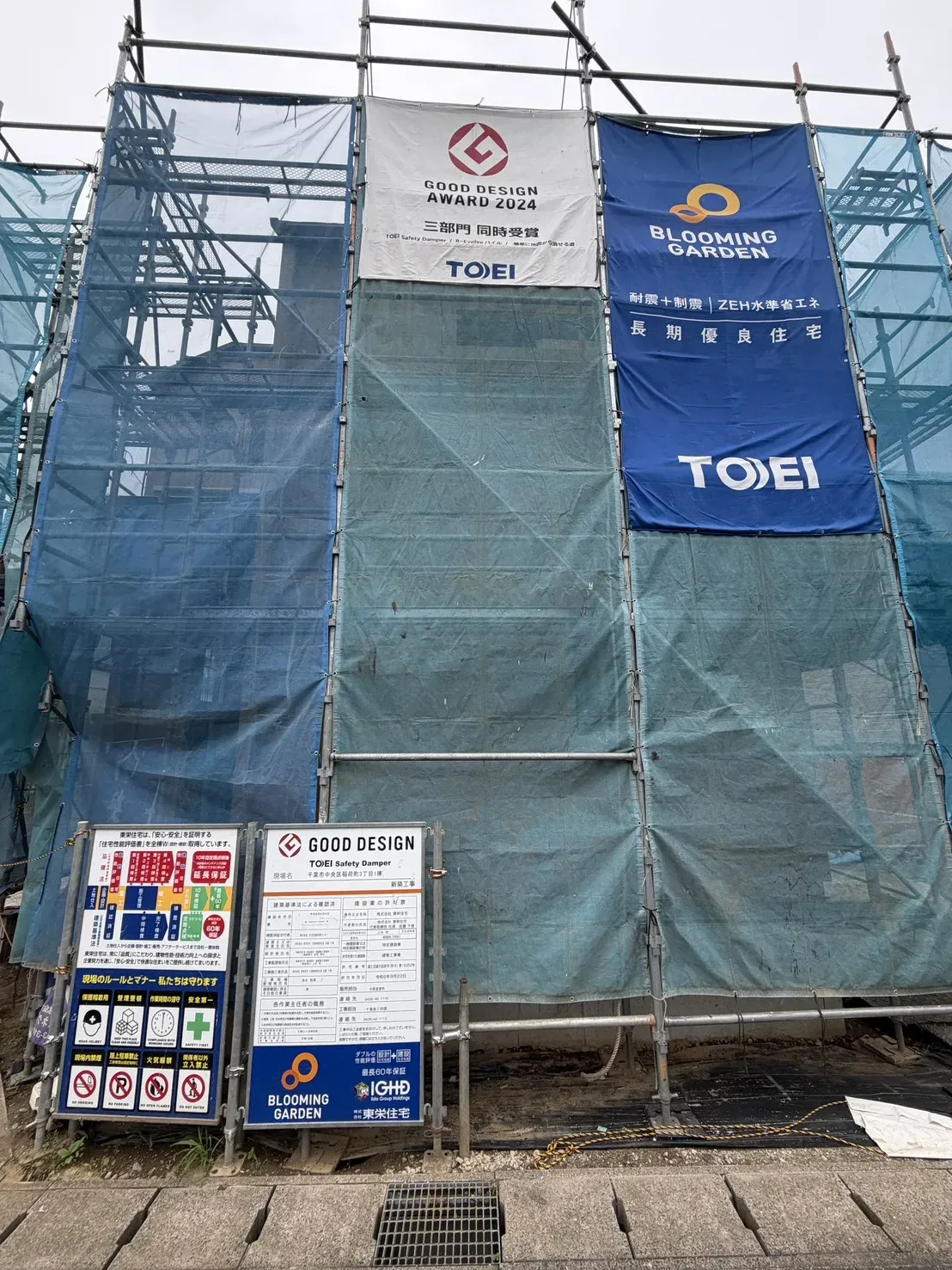 7月中旬撮影
