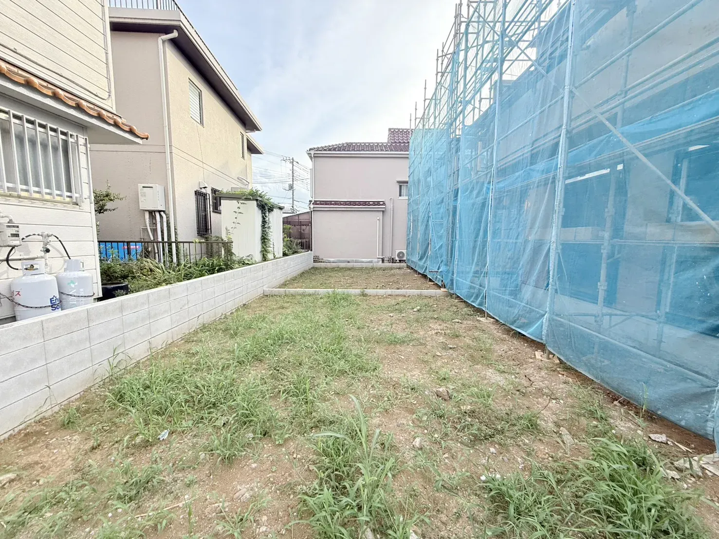 【2026/8/9 庭部分】