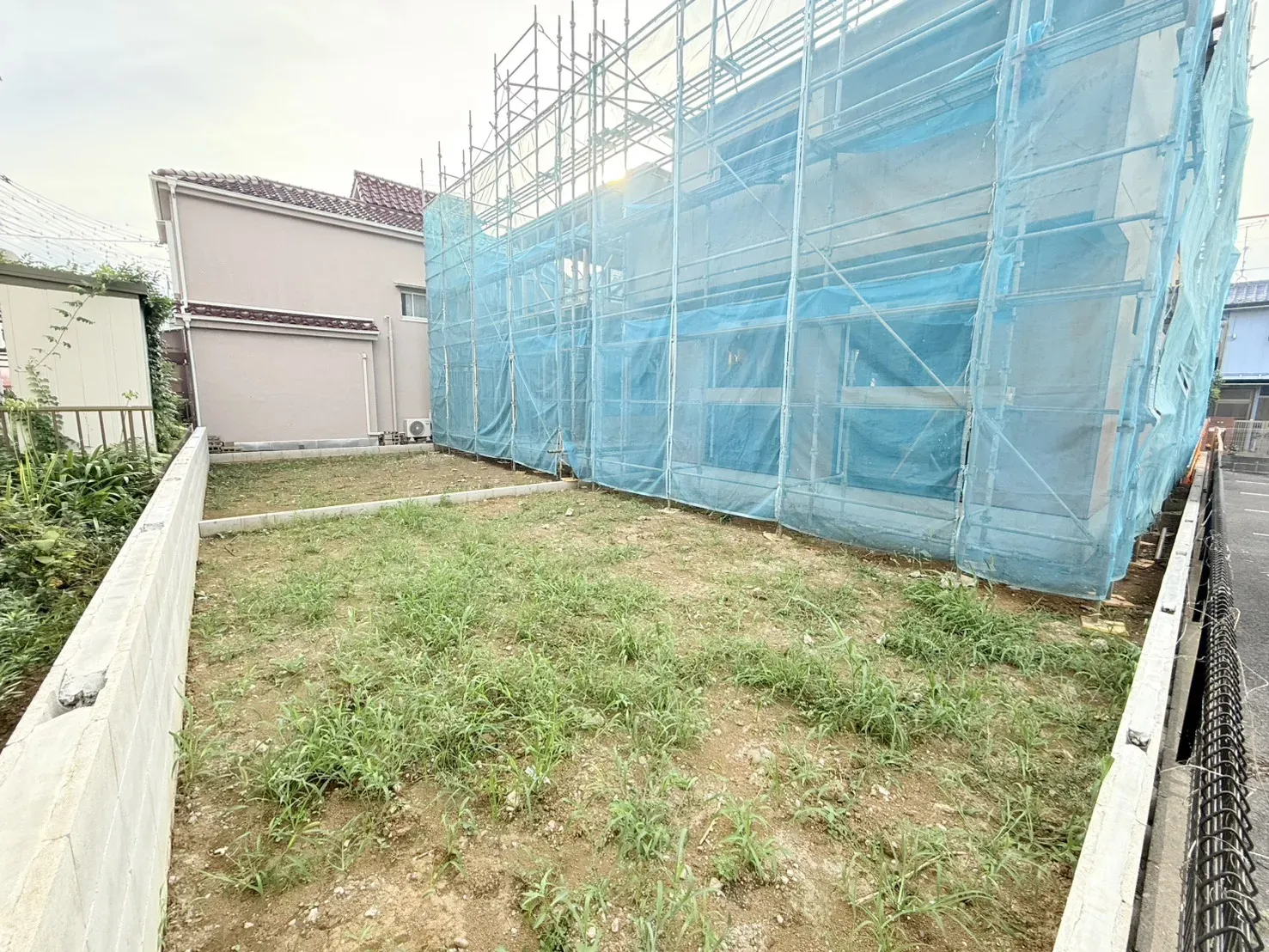 【2026/8/9 庭部分】