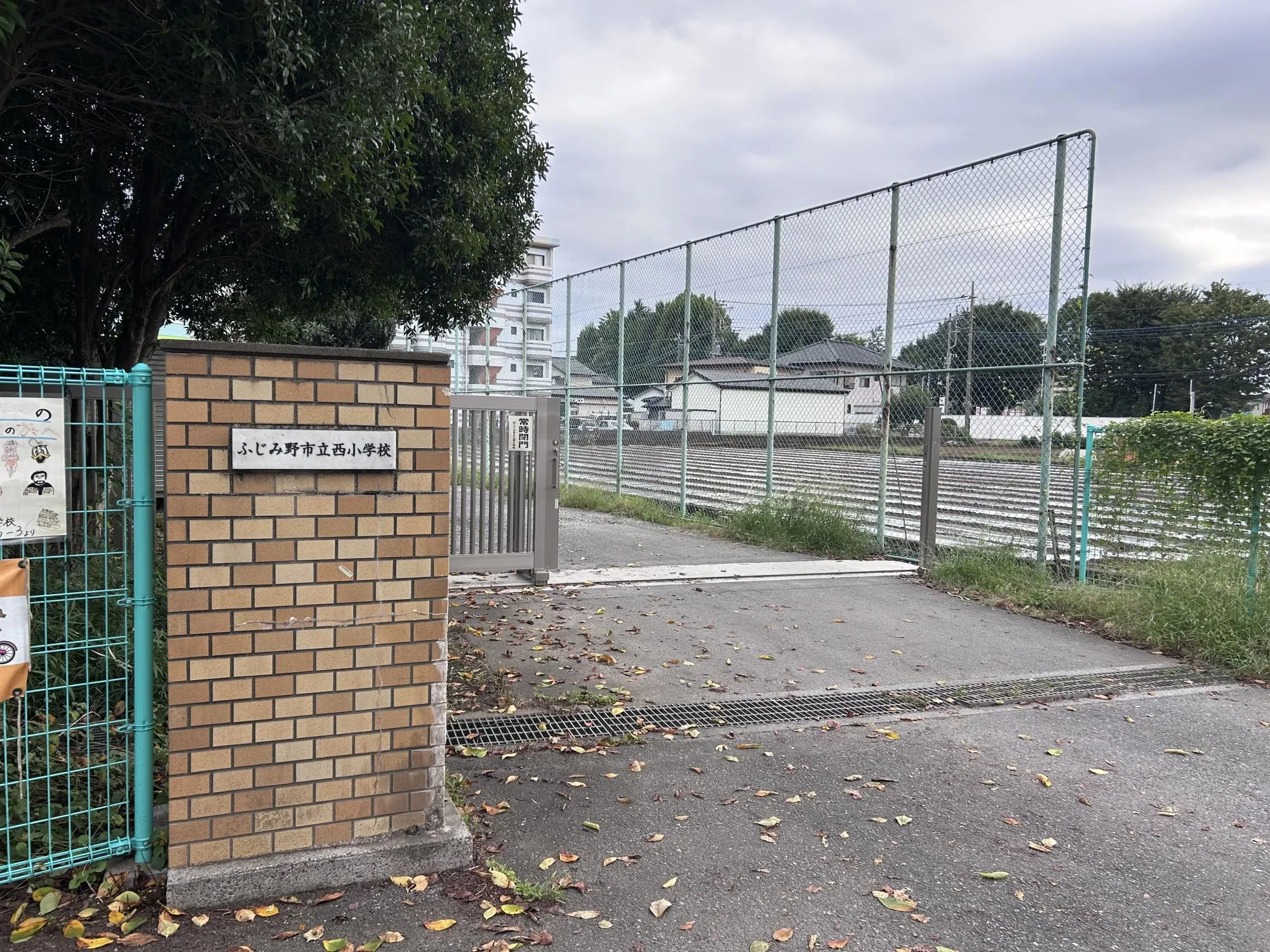 西小学校