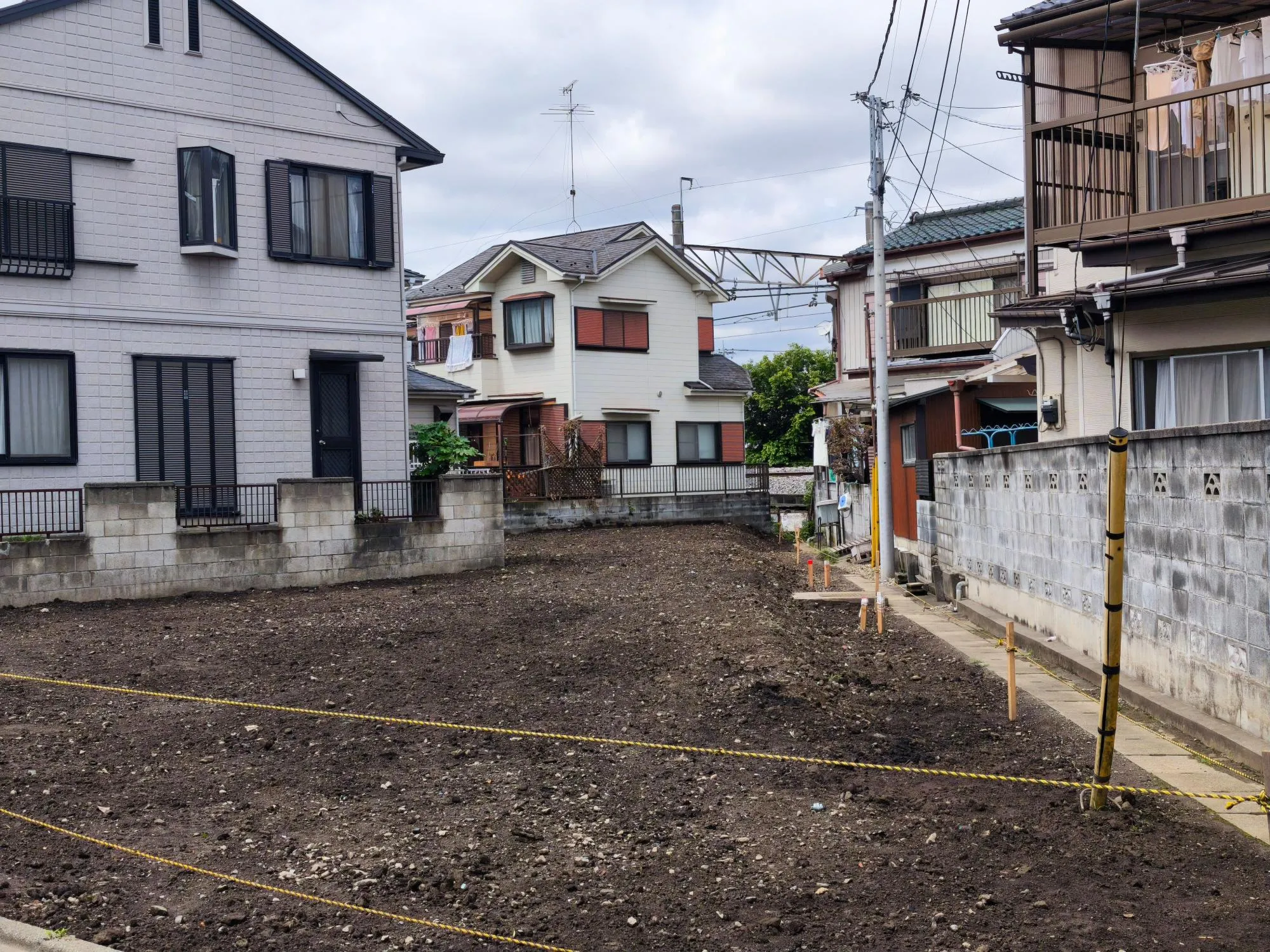 現地写真　6月撮影