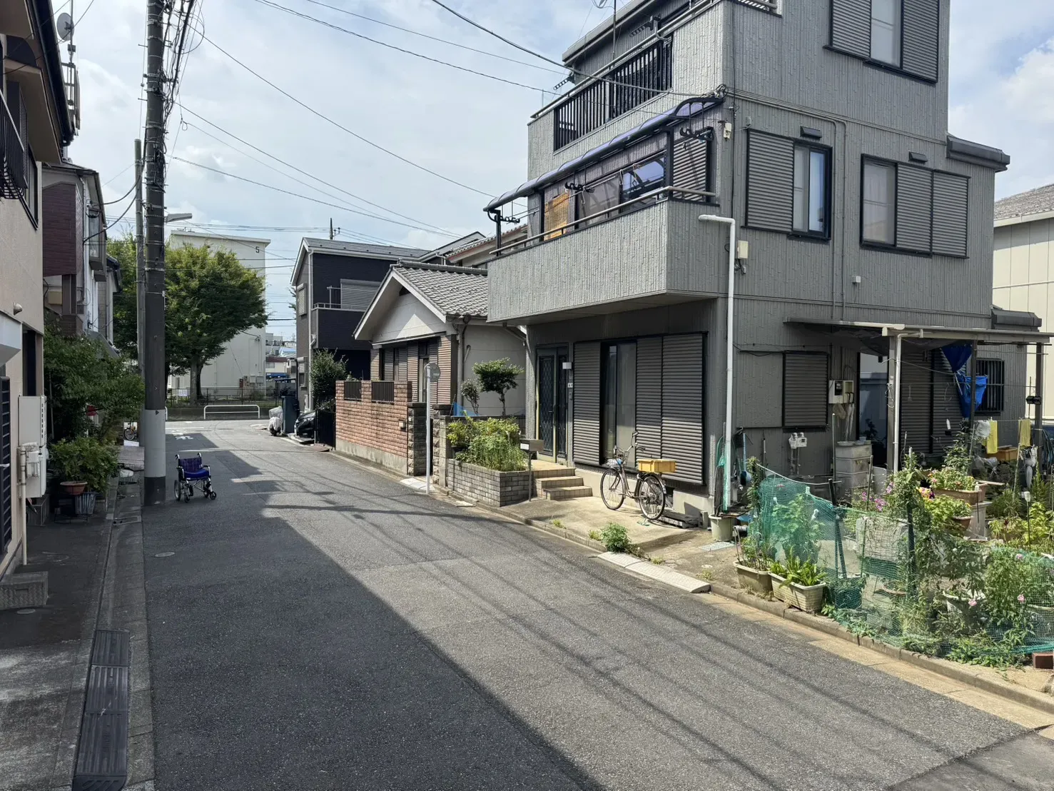 現地写真
