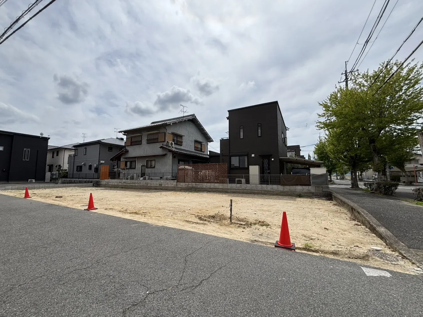 2026年6月下旬現地撮影