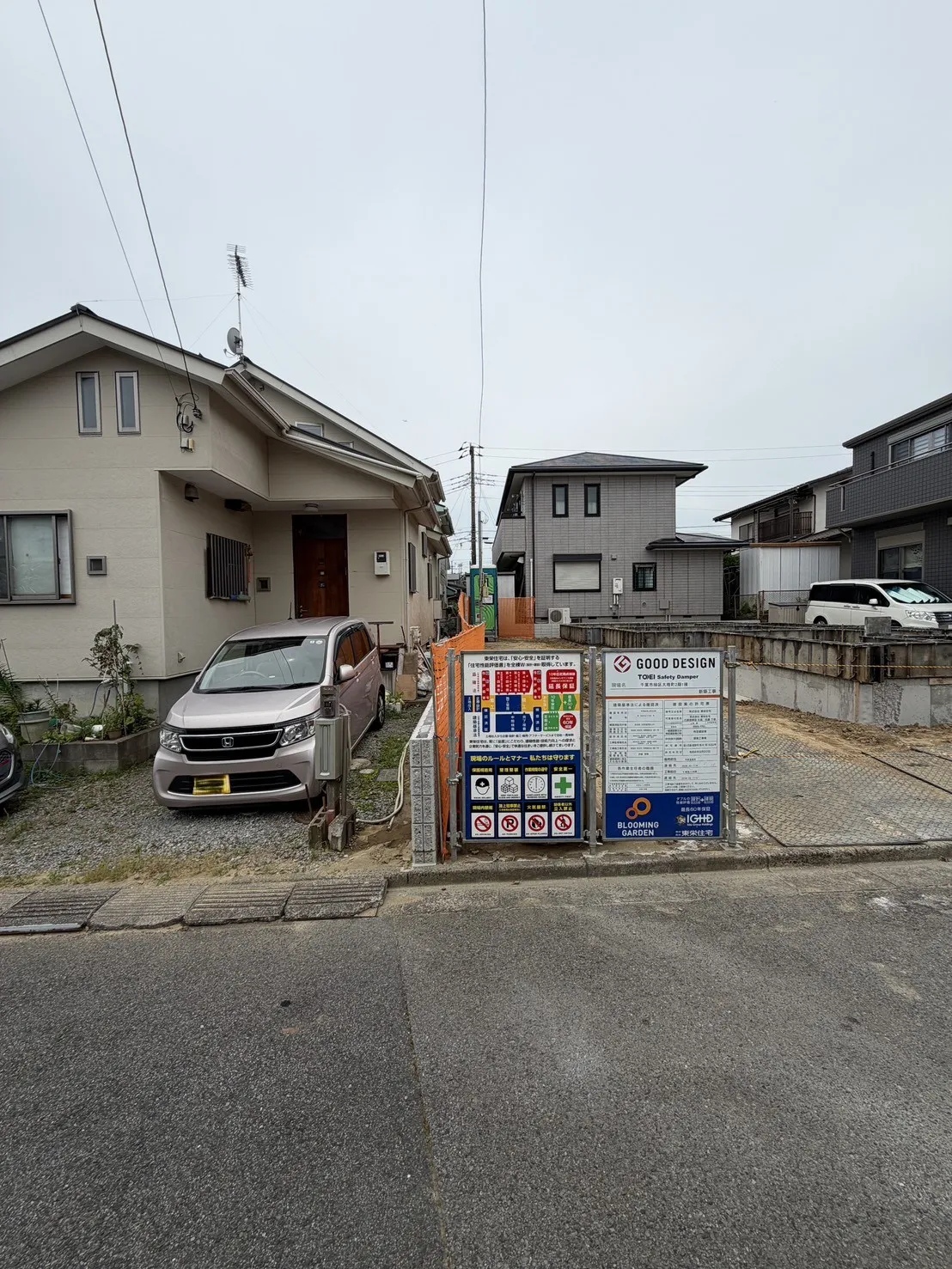 7月中旬撮影