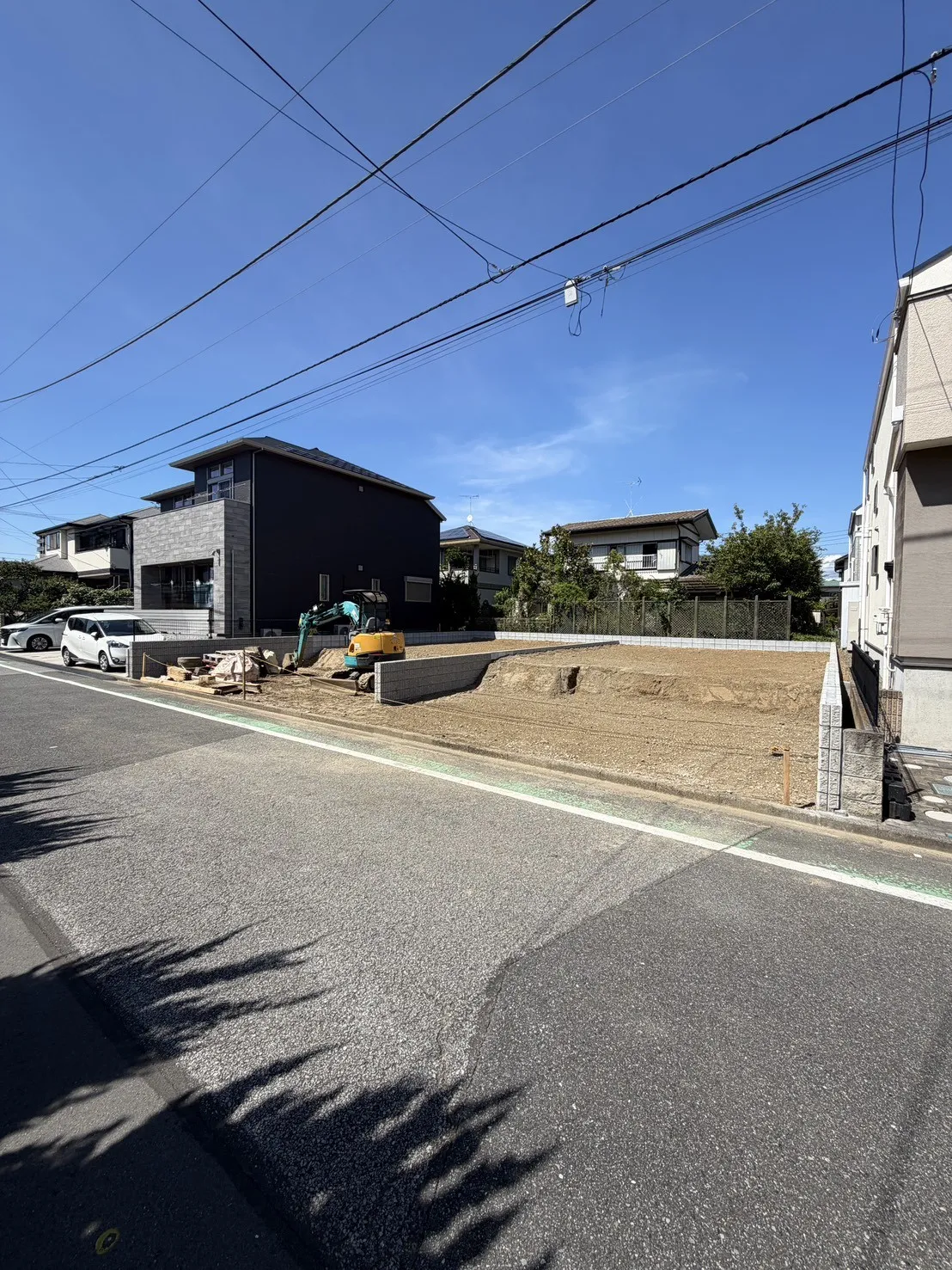 7月中旬撮影
