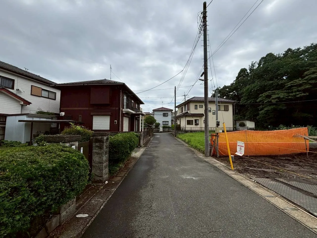 現地写真