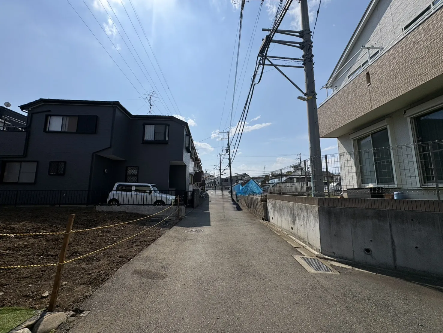 2026.6.13撮影