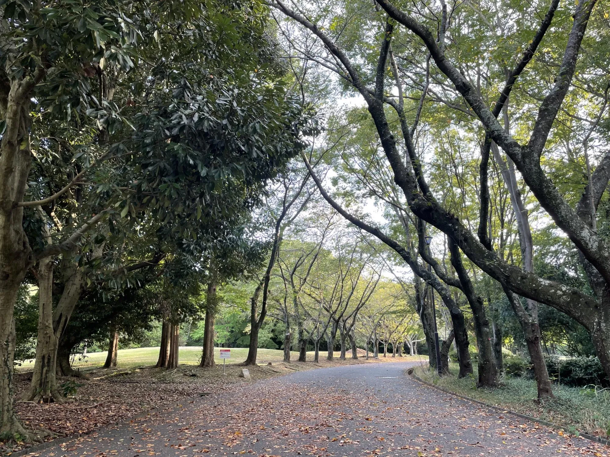 佐鳴湖公園