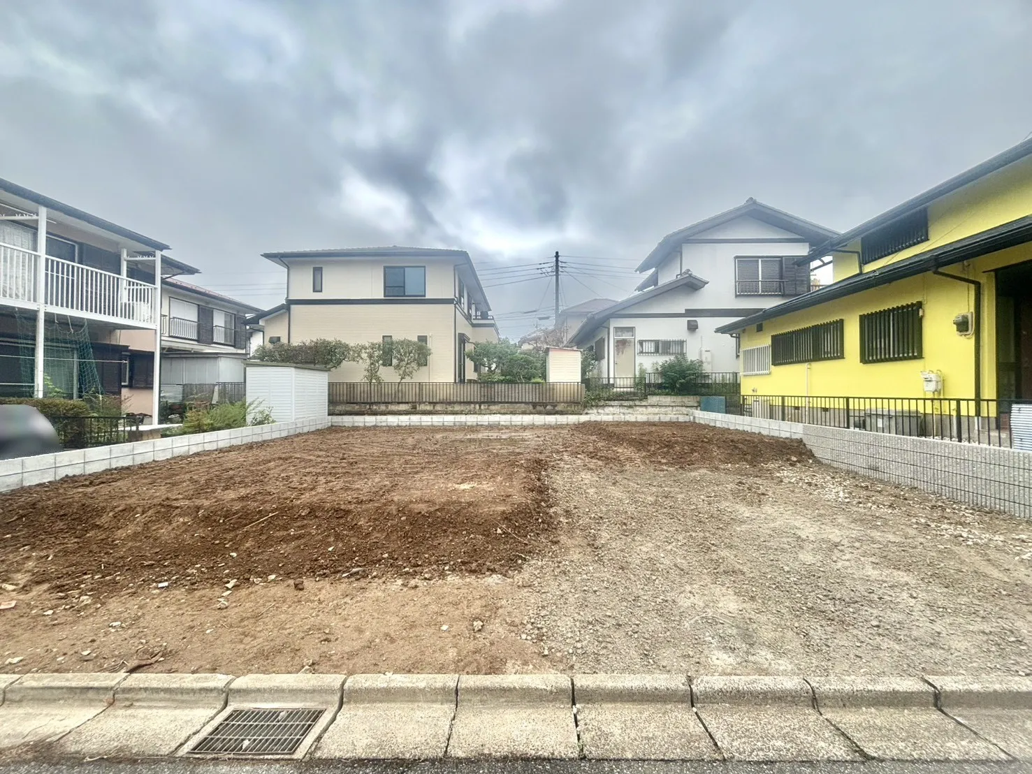 現地写真(6/21撮影)