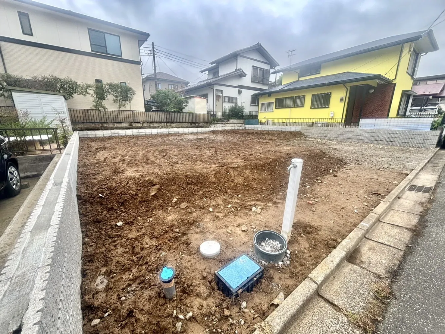 現地写真(6/21撮影)