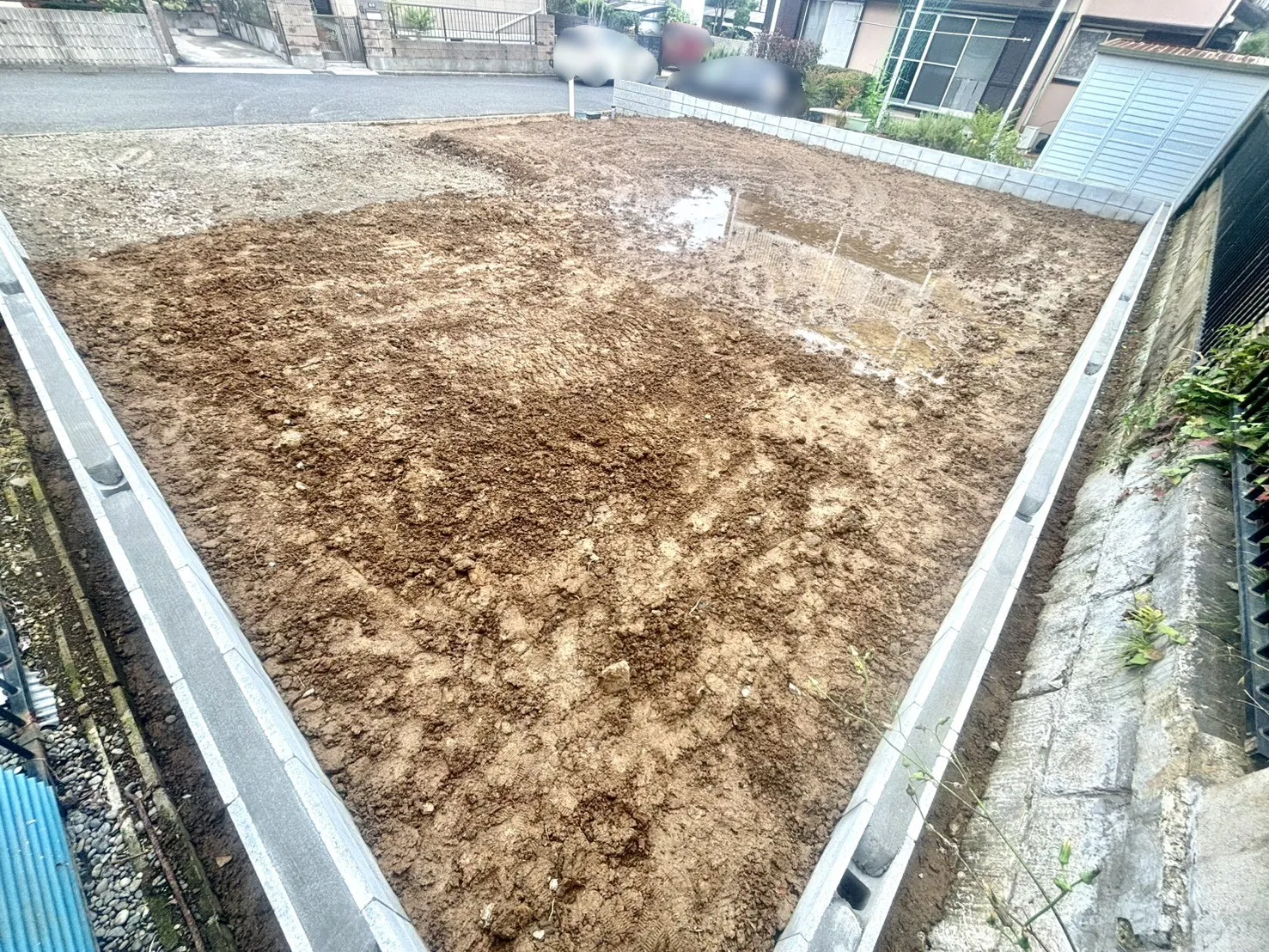 現地写真(6/21撮影)
