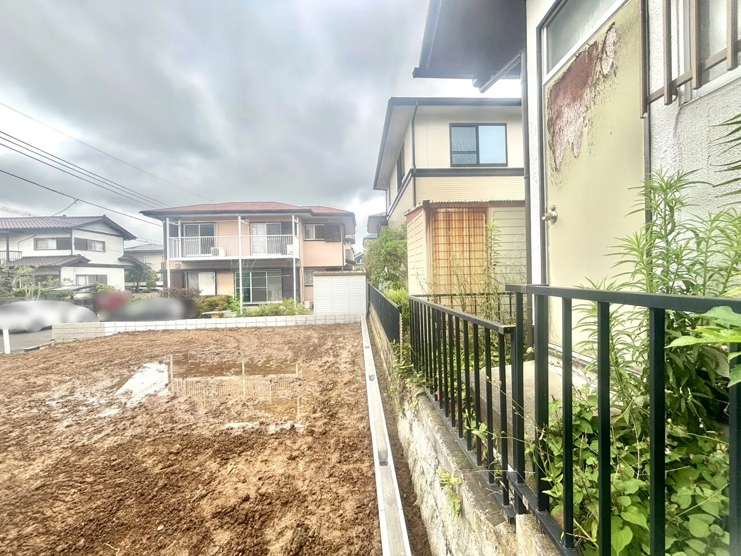 現地写真(6/21撮影)