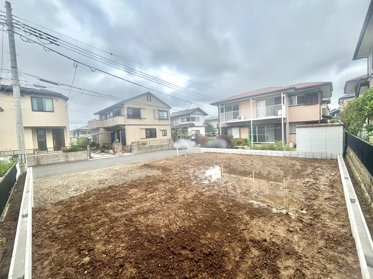 現地写真(6/21撮影)