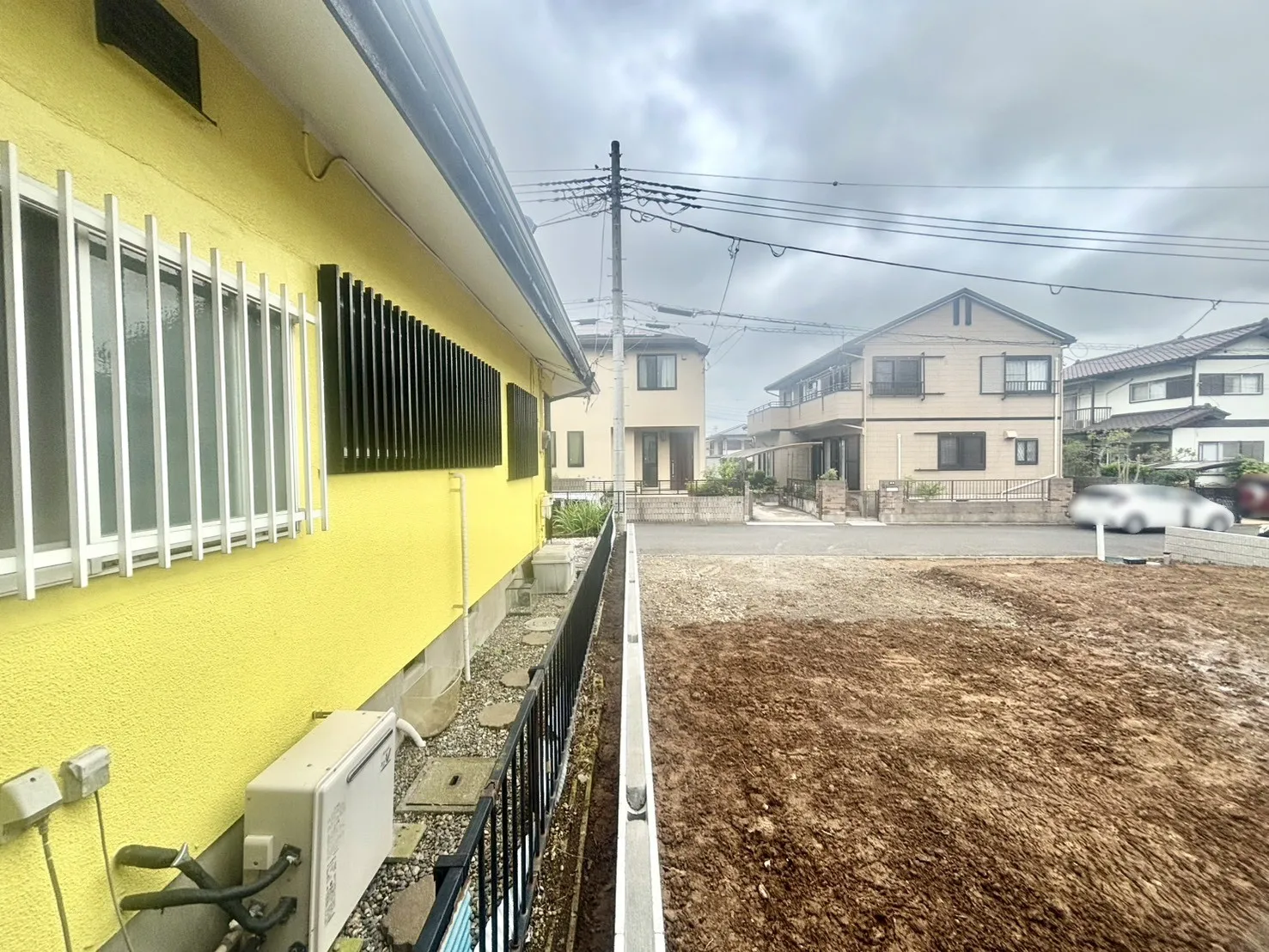 現地写真(6/21撮影)