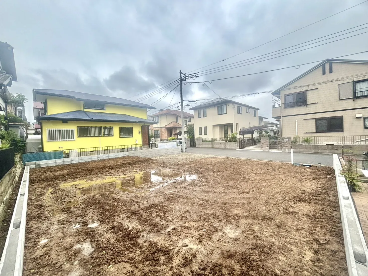 現地写真(6/21撮影)