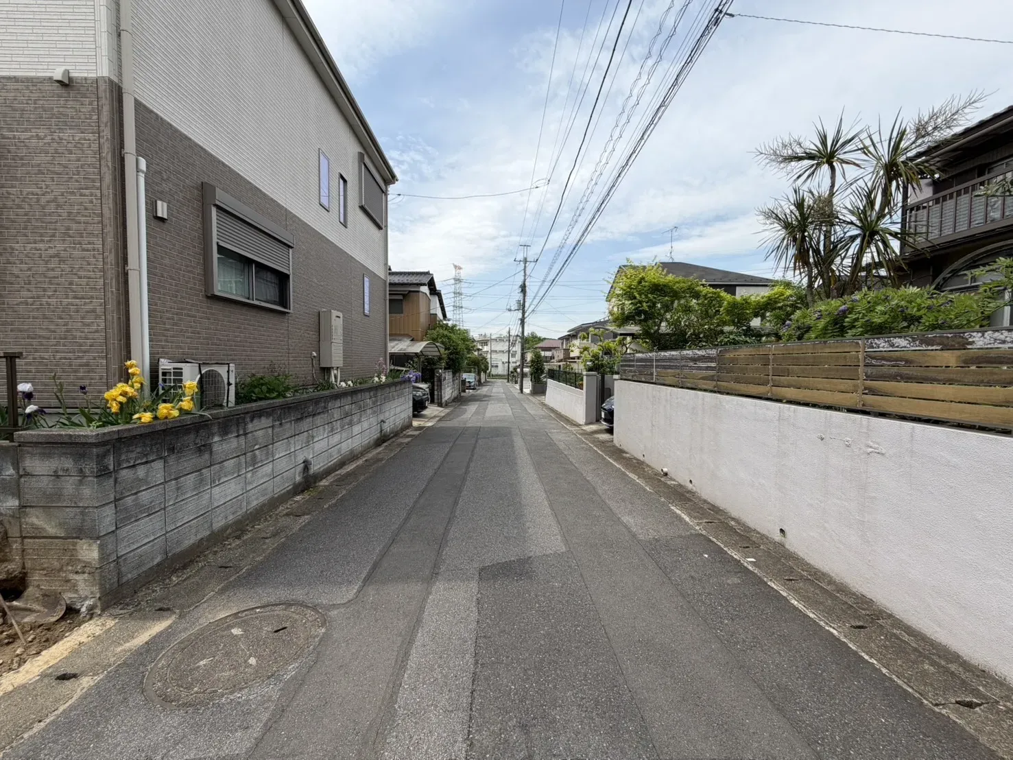 【2026.5.3　販売現地・前面道路】