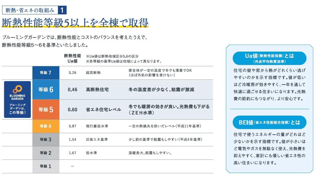 【BELS☆5取得】
