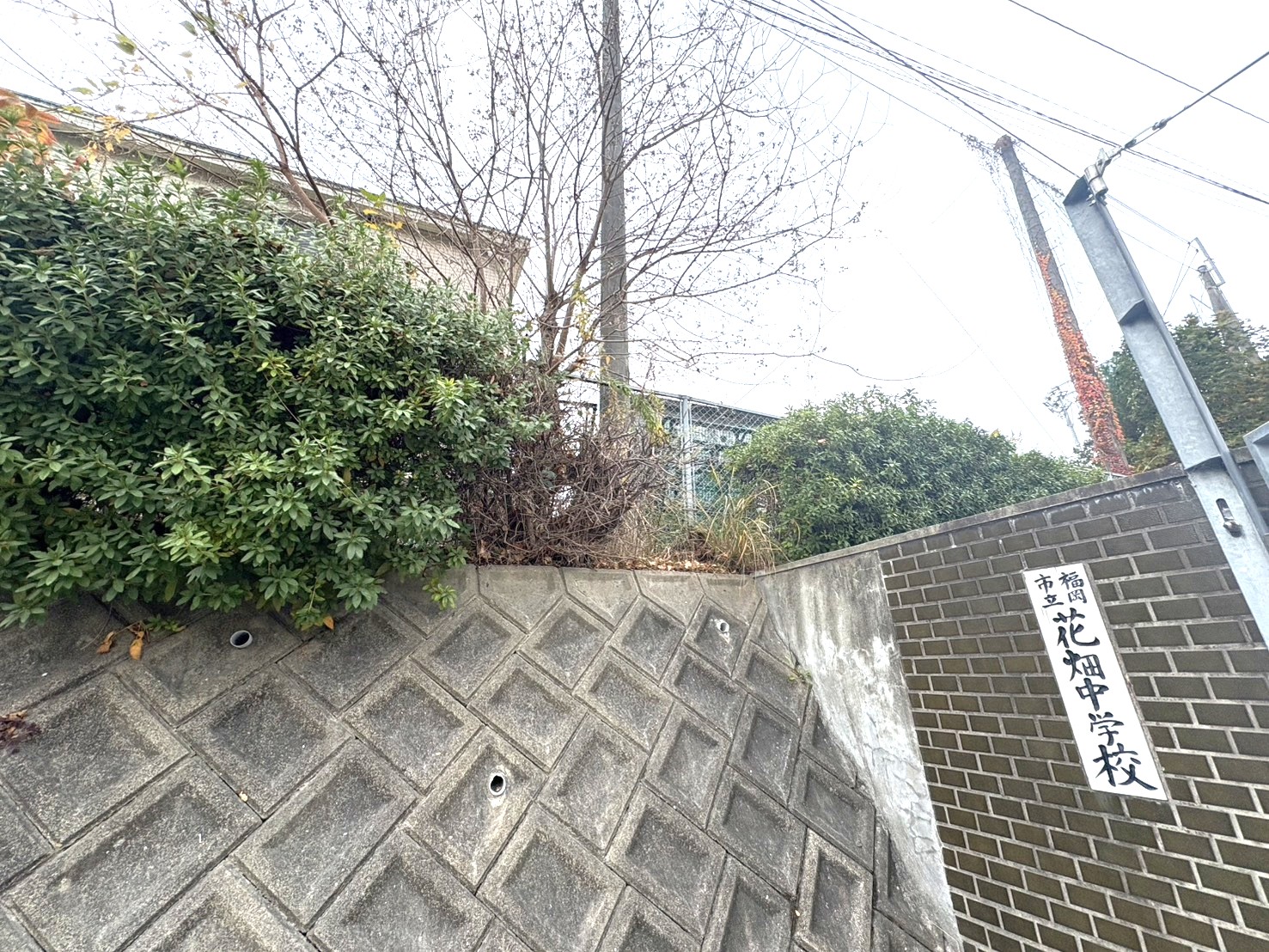 福岡市立花畑中学校