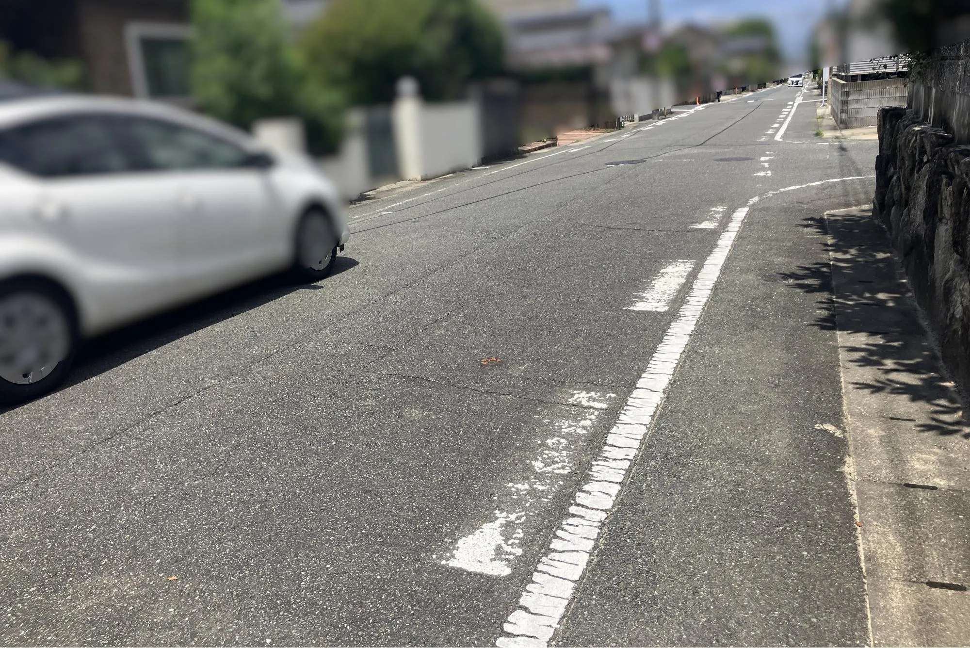 現地写真