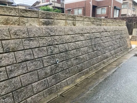 現地写真