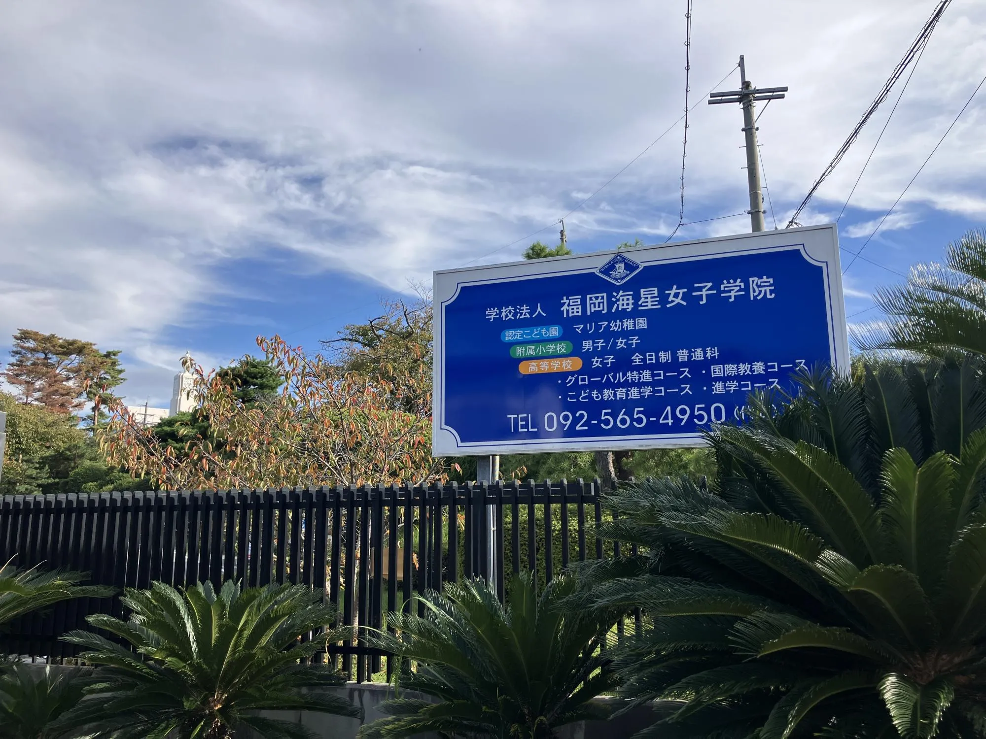 認定こども園マリア幼稚園