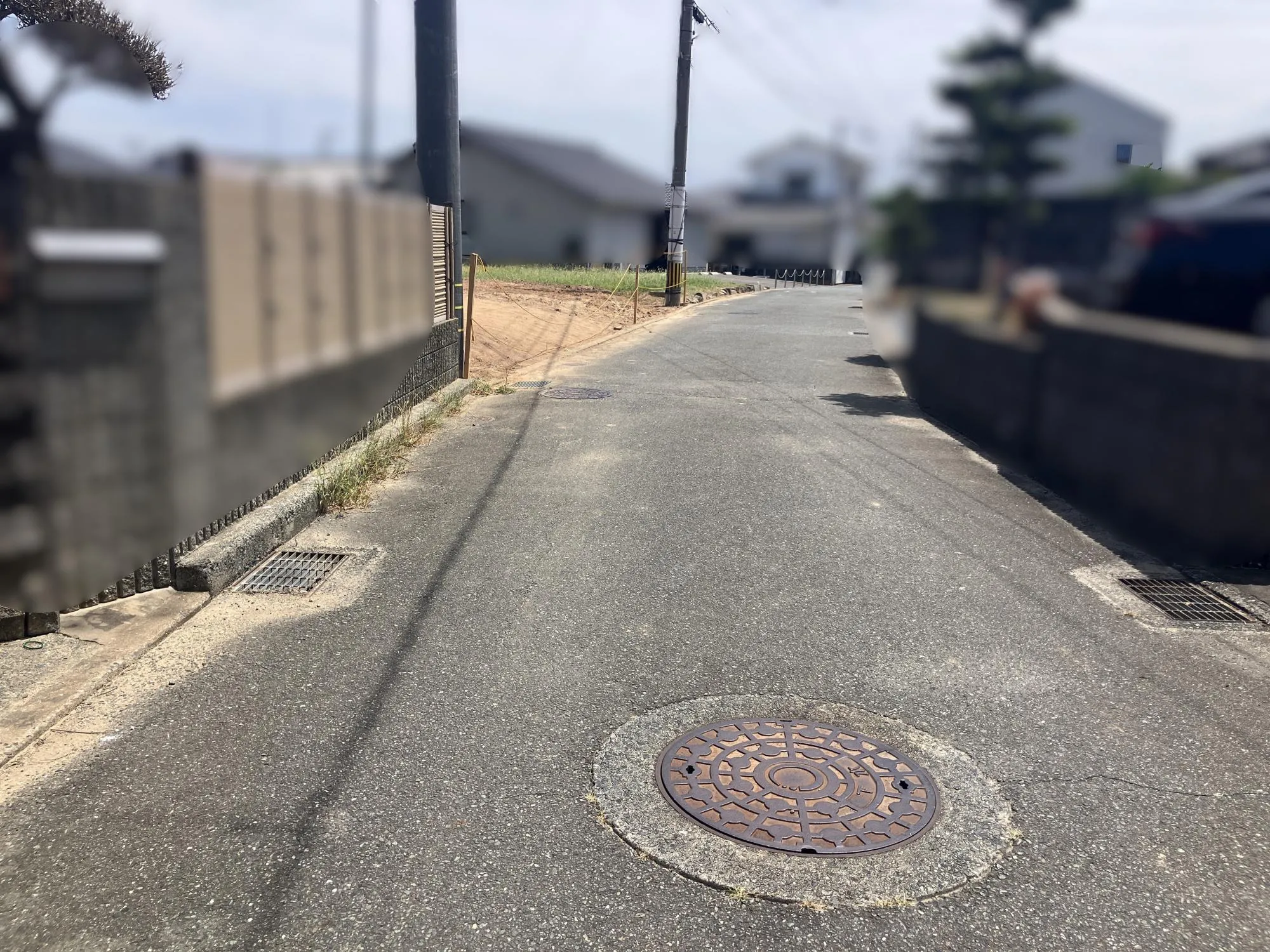 現地写真