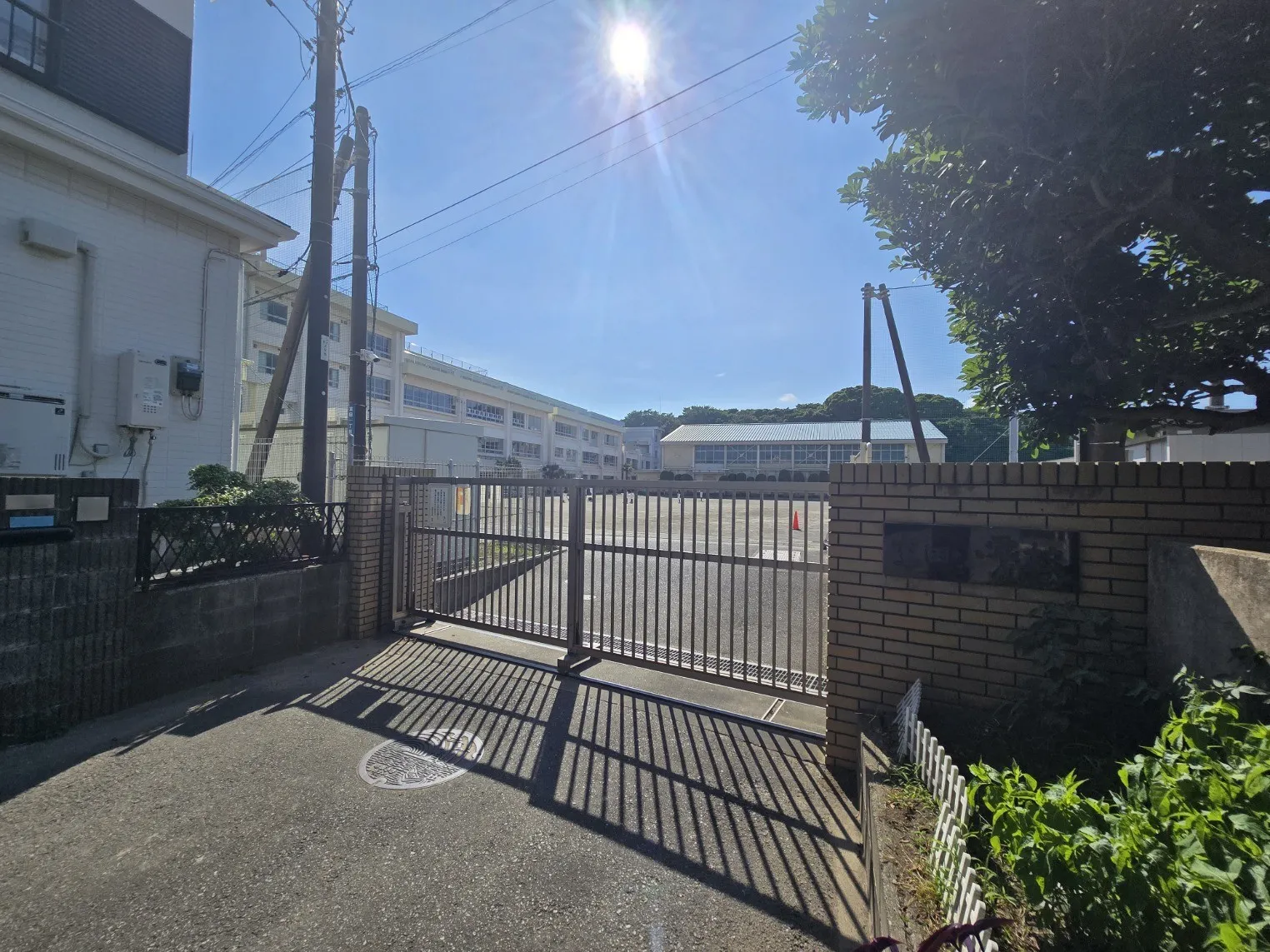 茅ヶ崎市立室田小学校