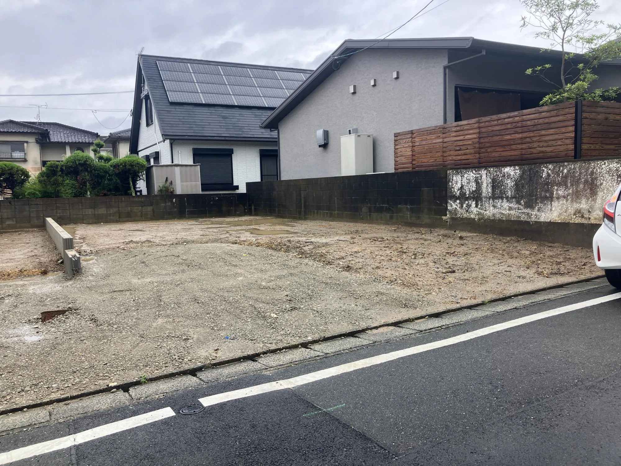 現地写真