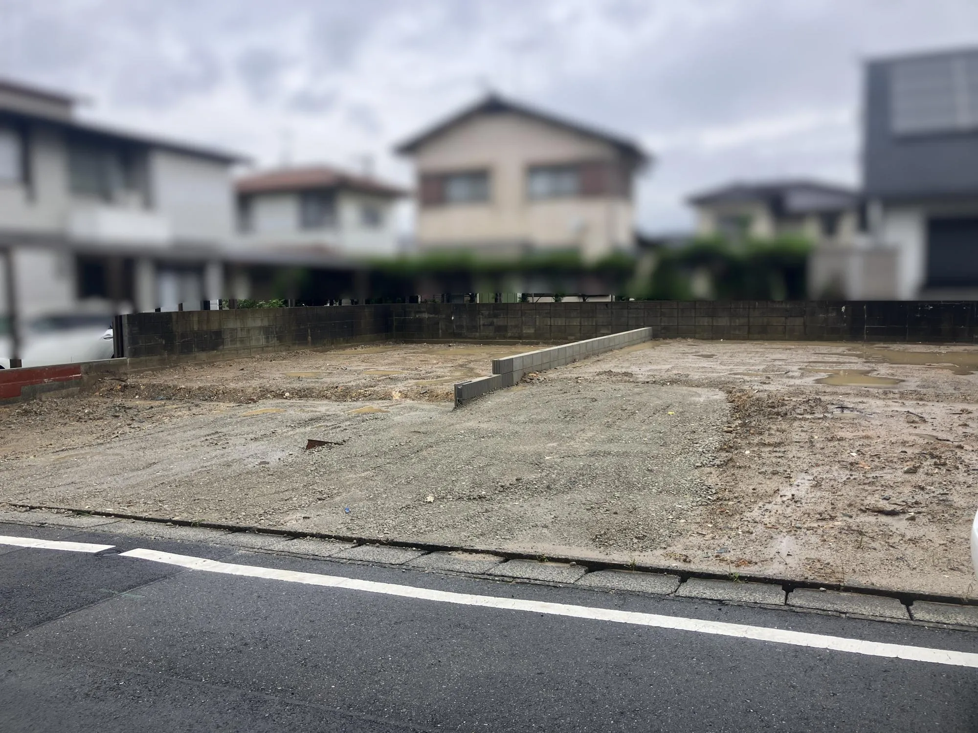 現地写真