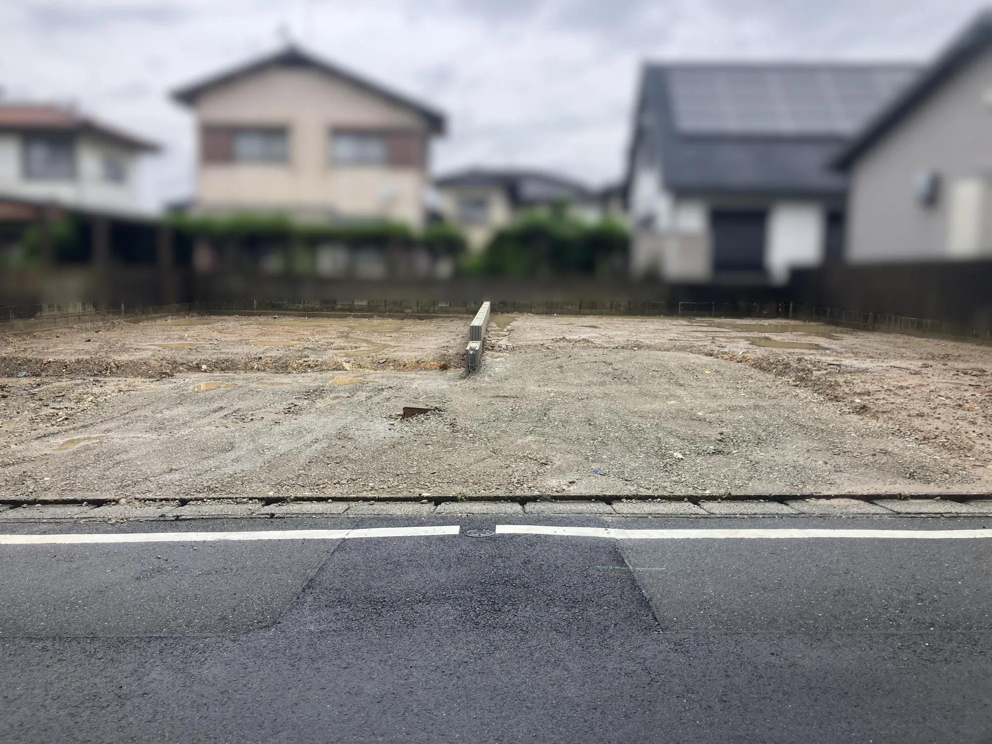 現地写真