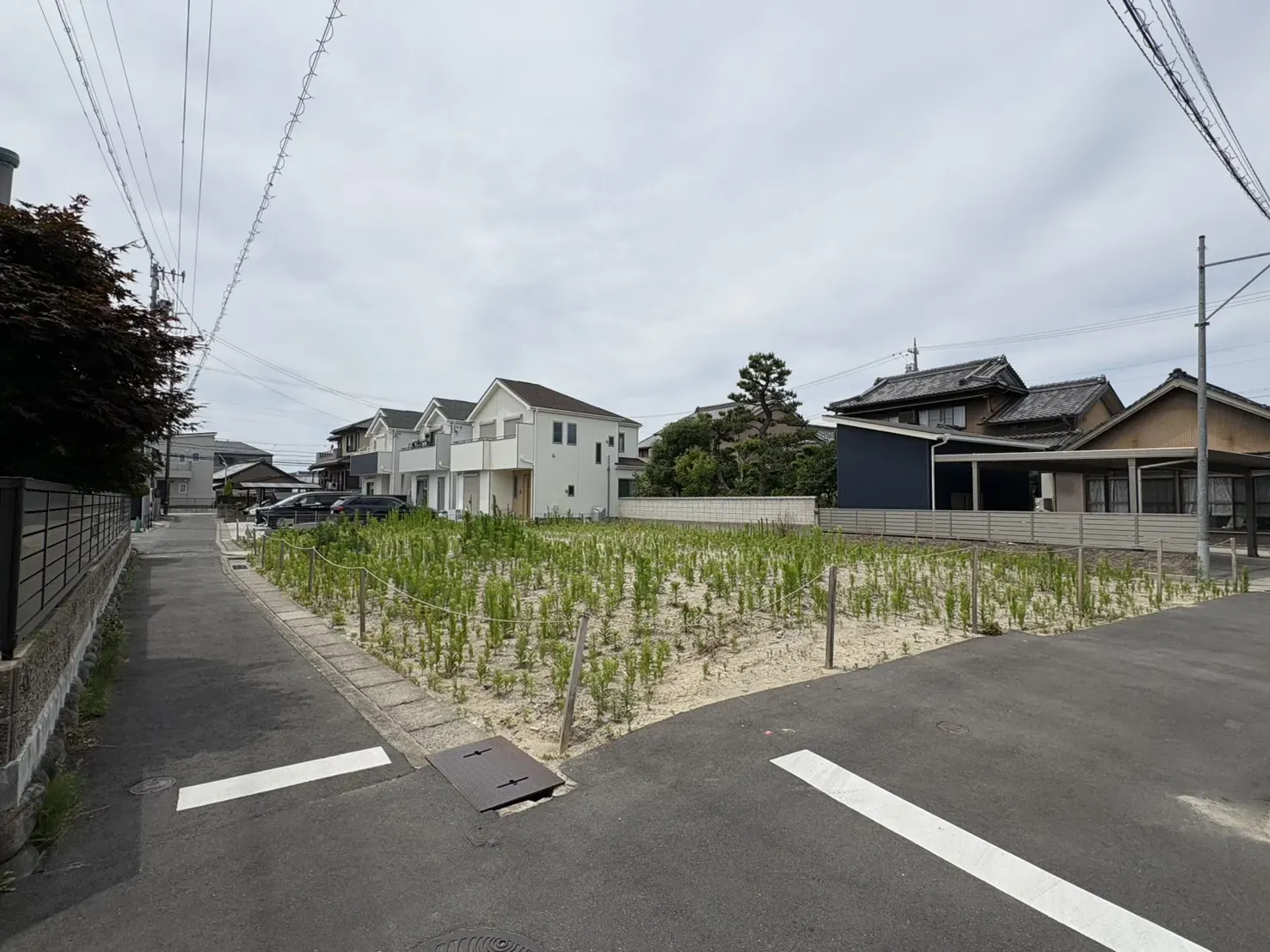 現地写真