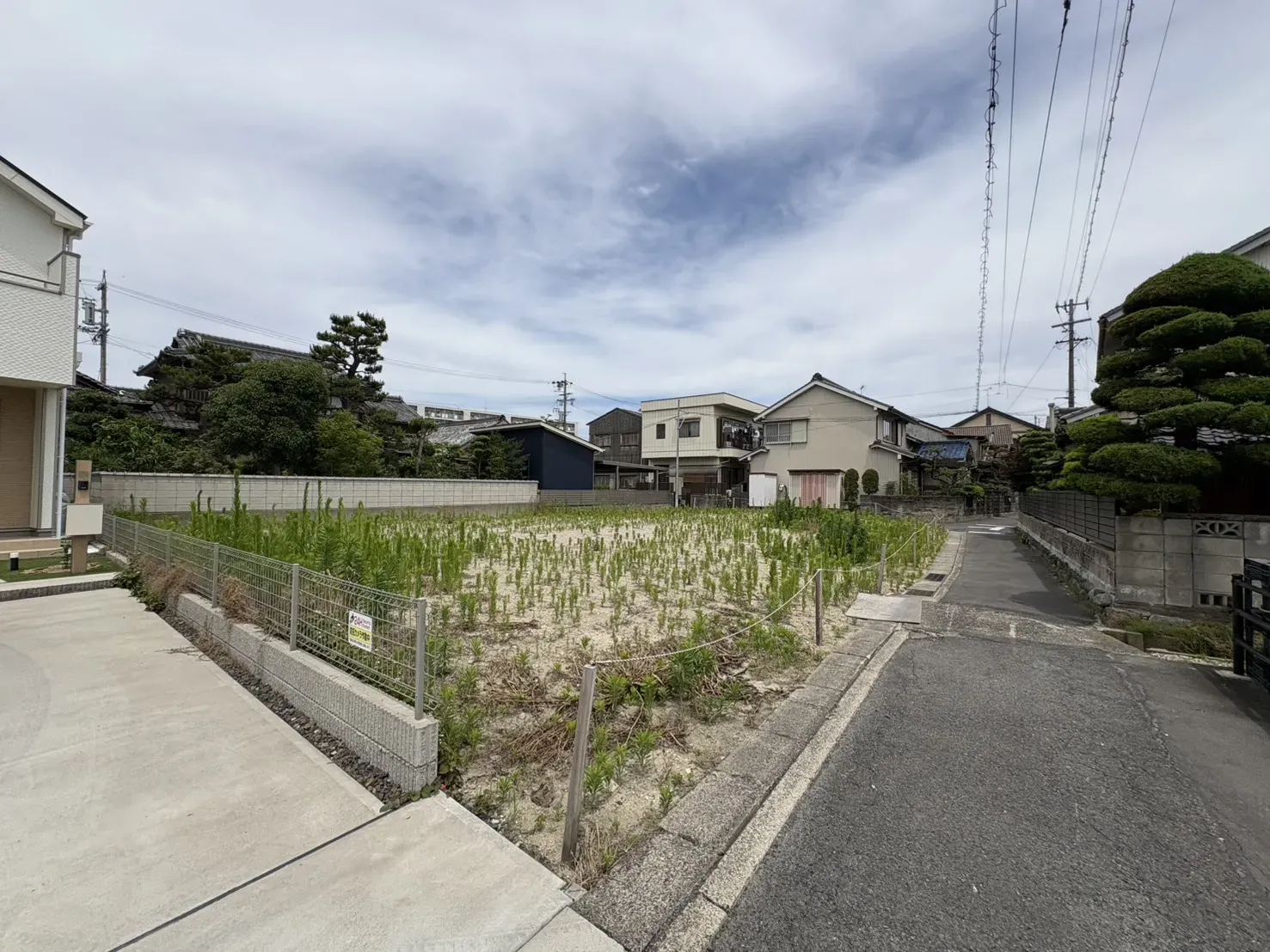 現地写真