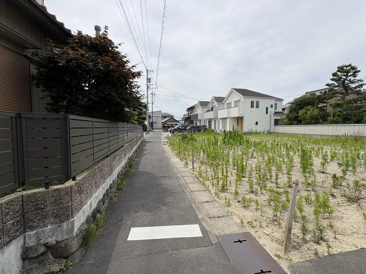 前面道路(東から西)