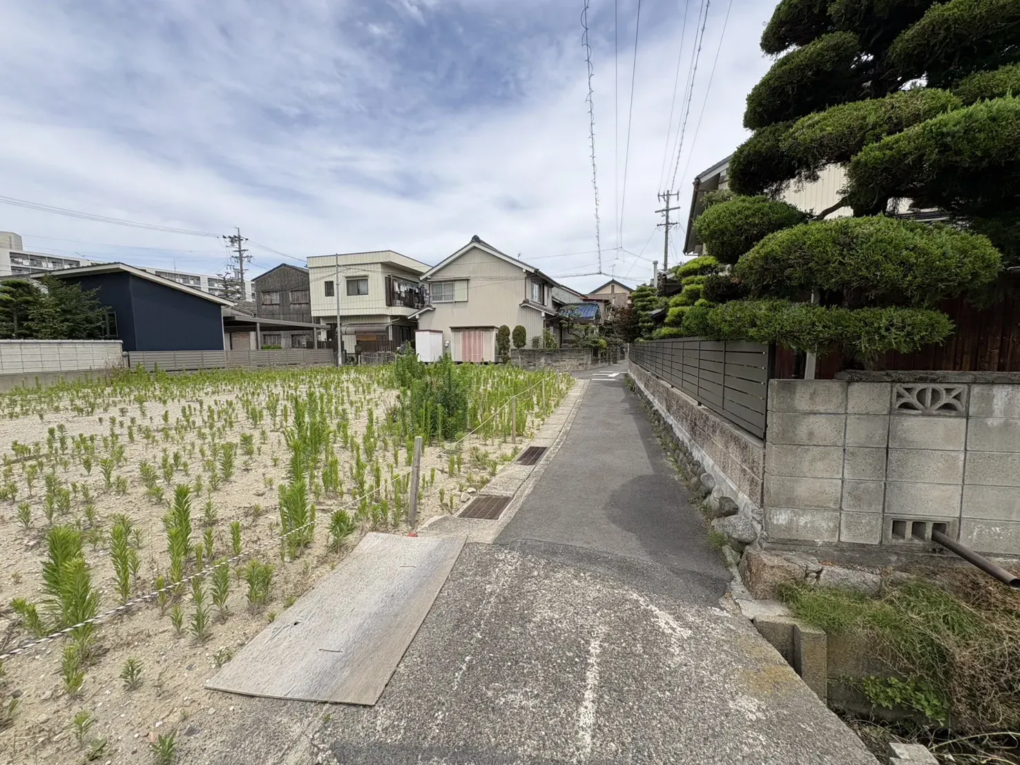 前面道路(西から東)