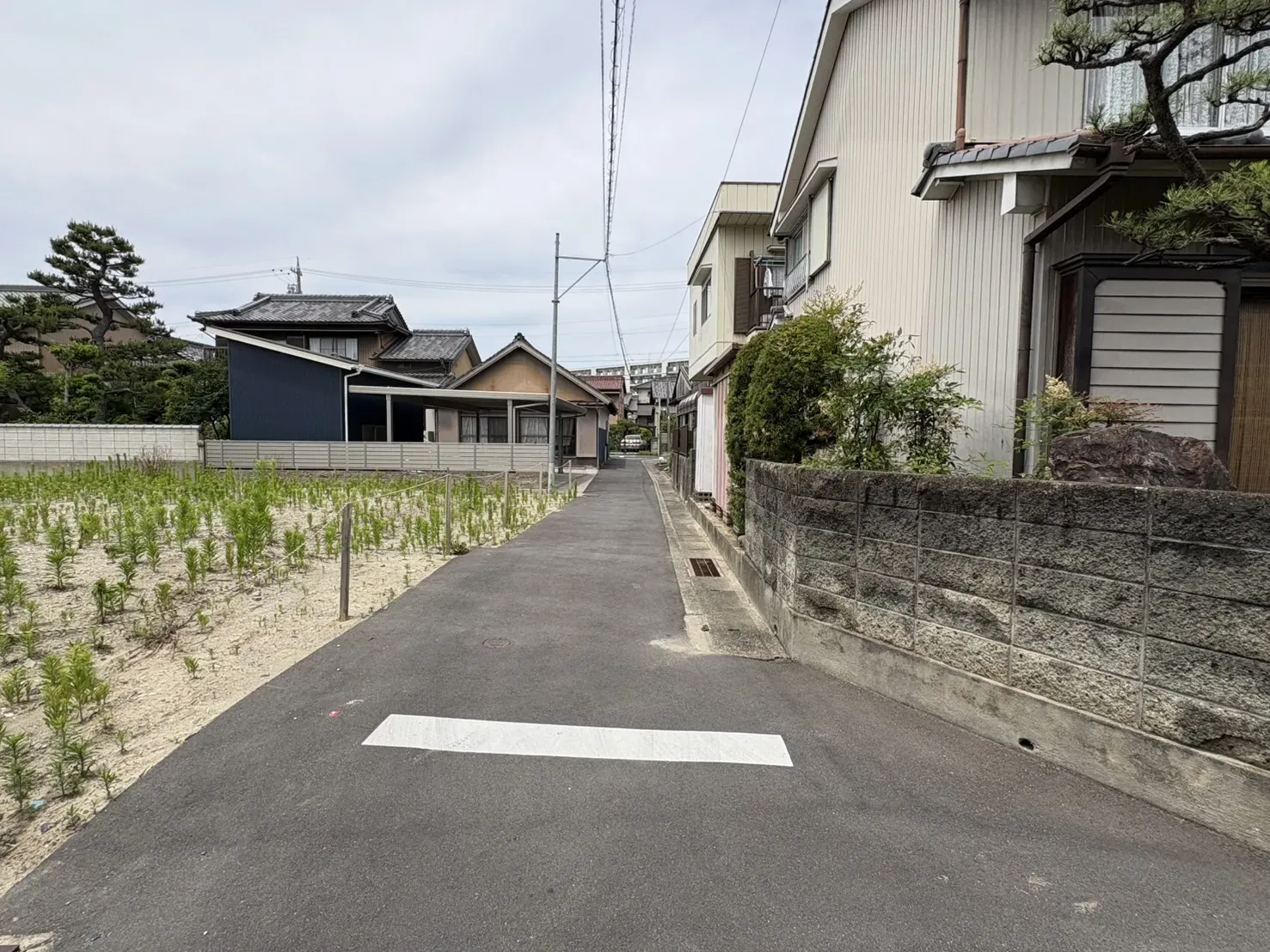 前面道路(南から北)