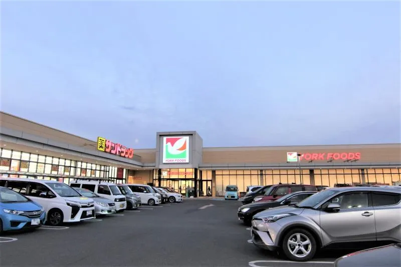 ヨークフーズ・サンドラッグ幸手店