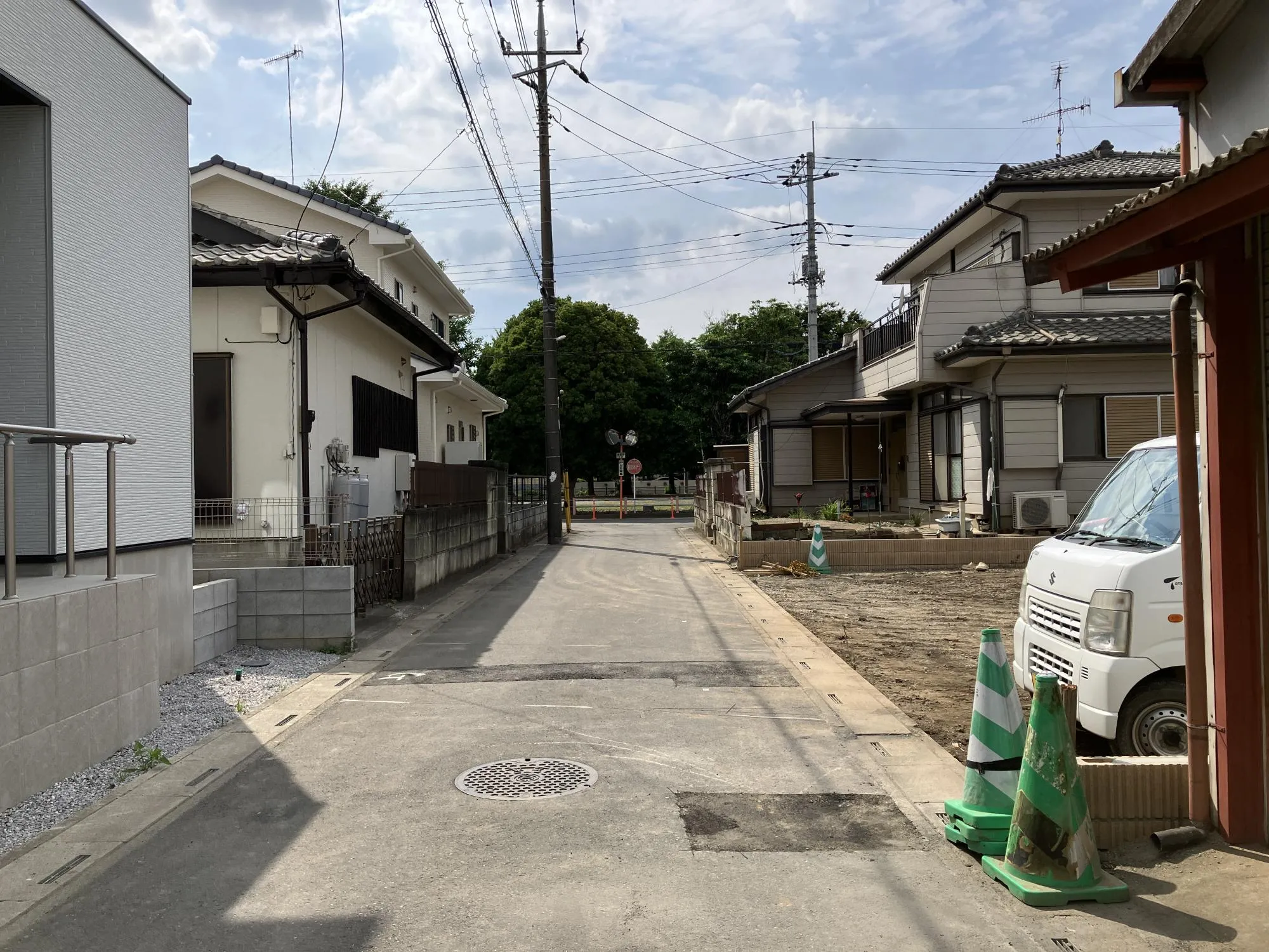 現地写真 6月撮影