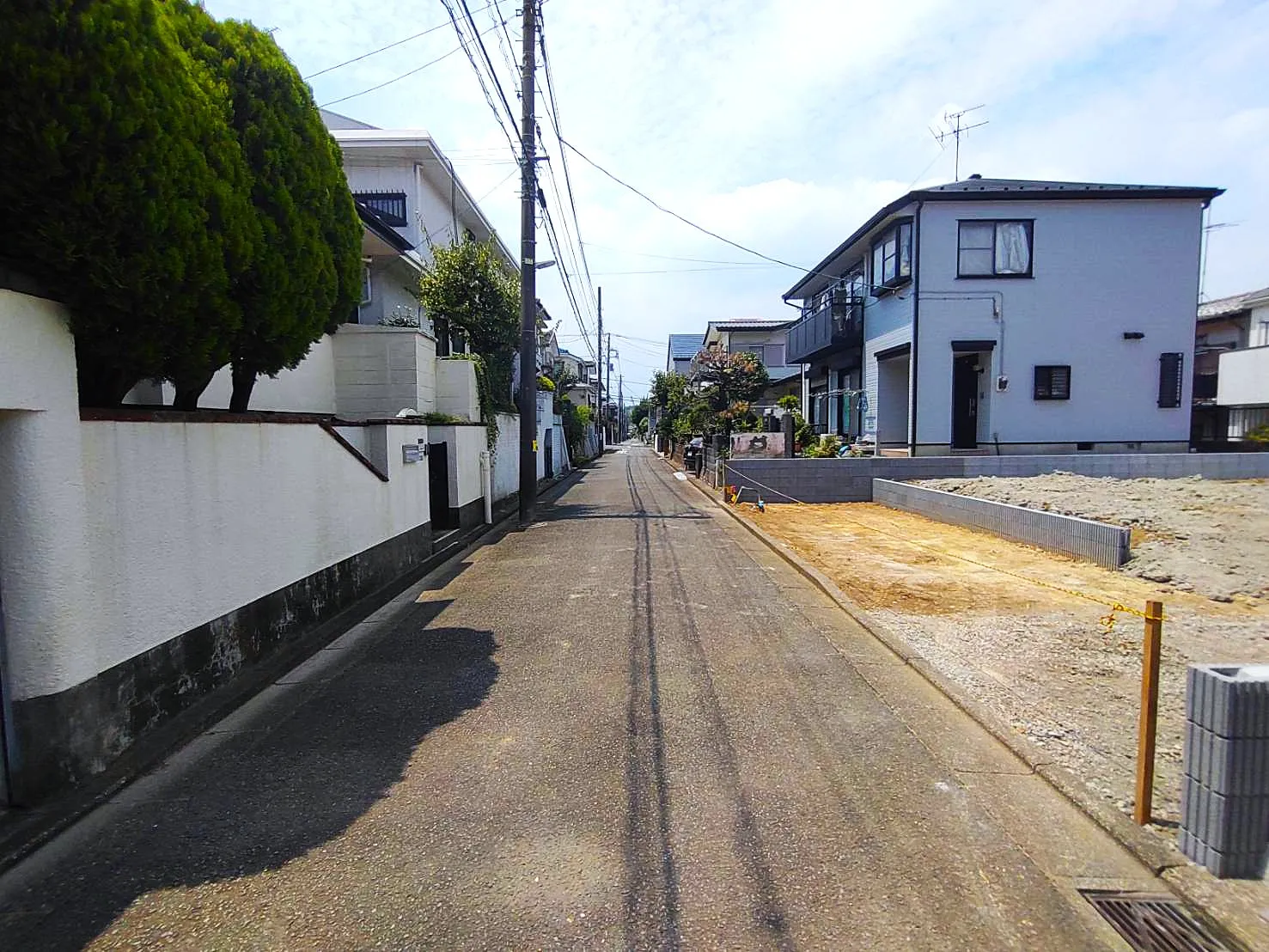 現地写真③
