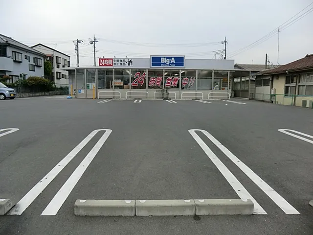 ビッグ・エー吉川団地店