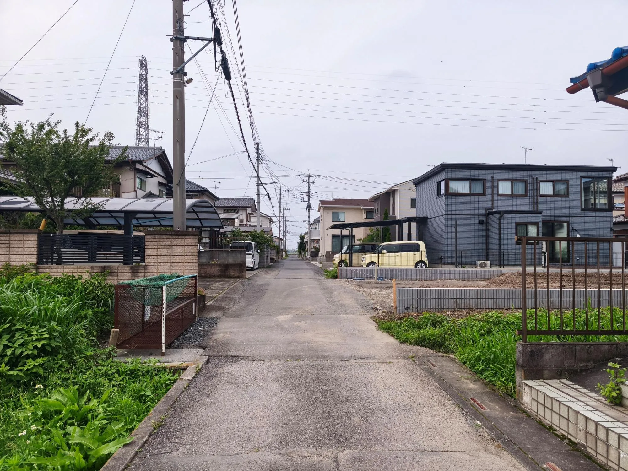 現地写真 7月撮影