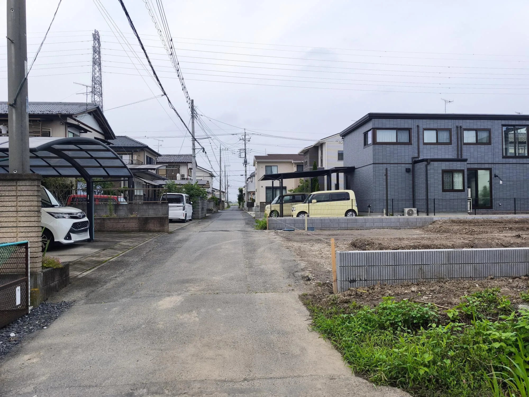 現地写真 7月撮影
