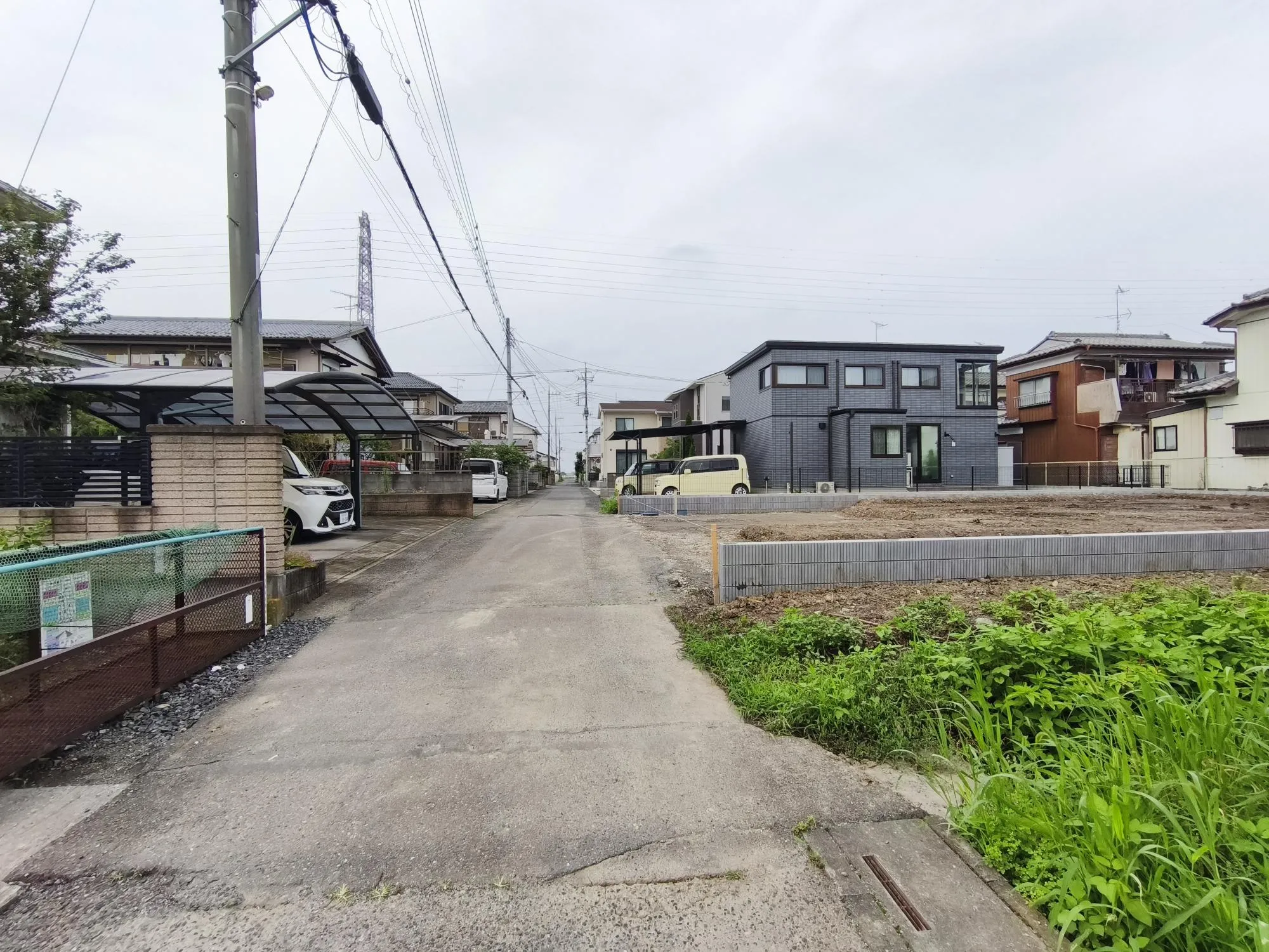 現地写真 7月撮影