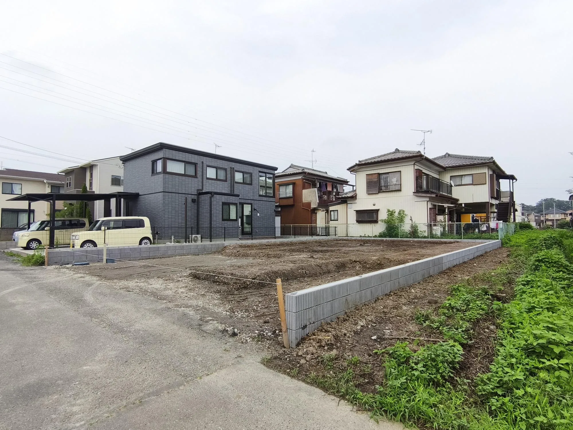 現地写真 7月撮影