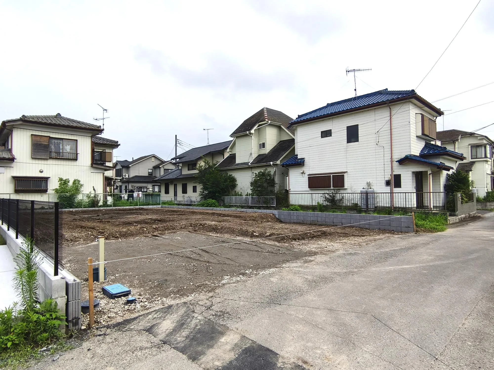 現地写真 7月撮影