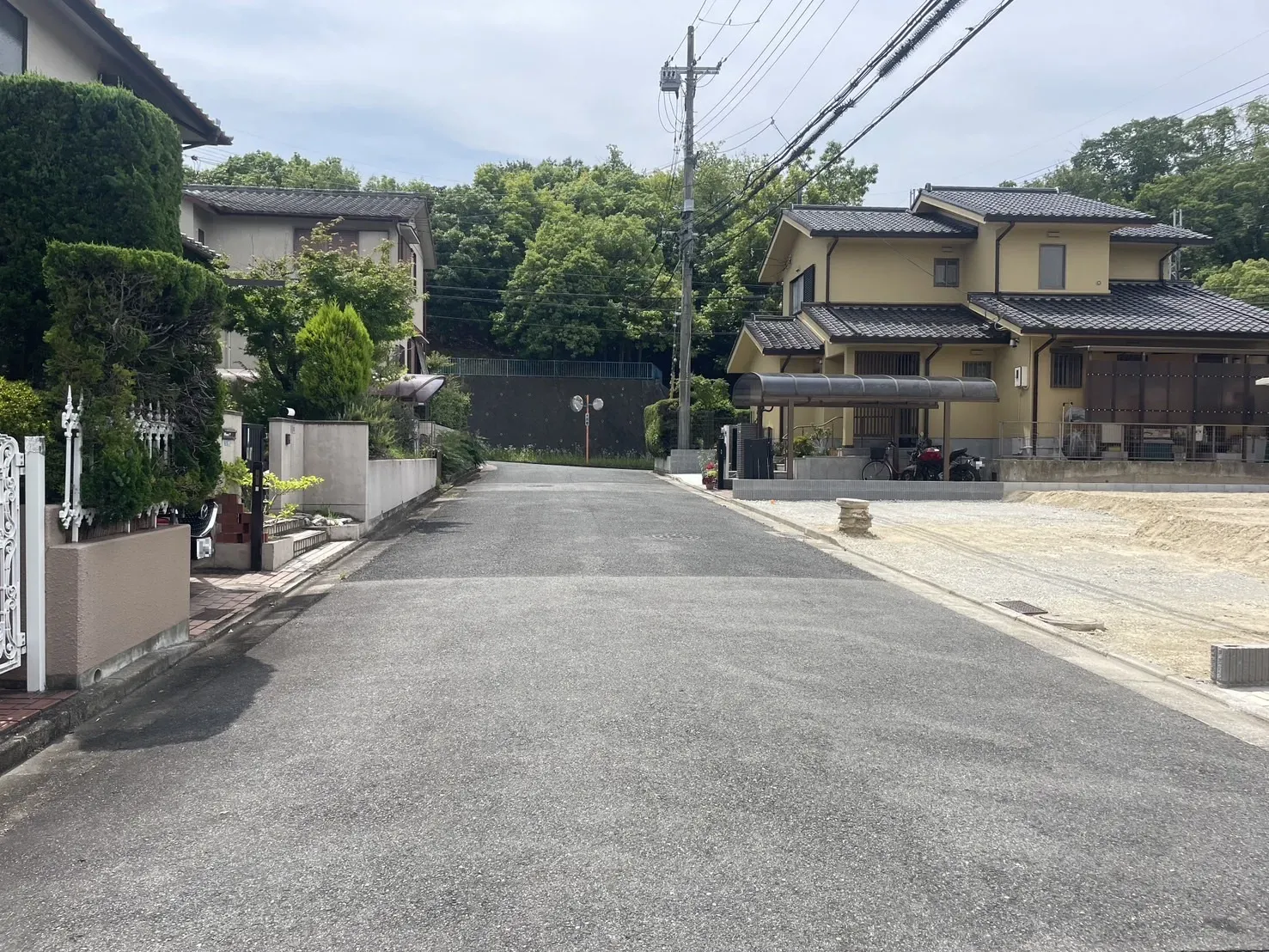 【販売現地】2026.6.19撮影