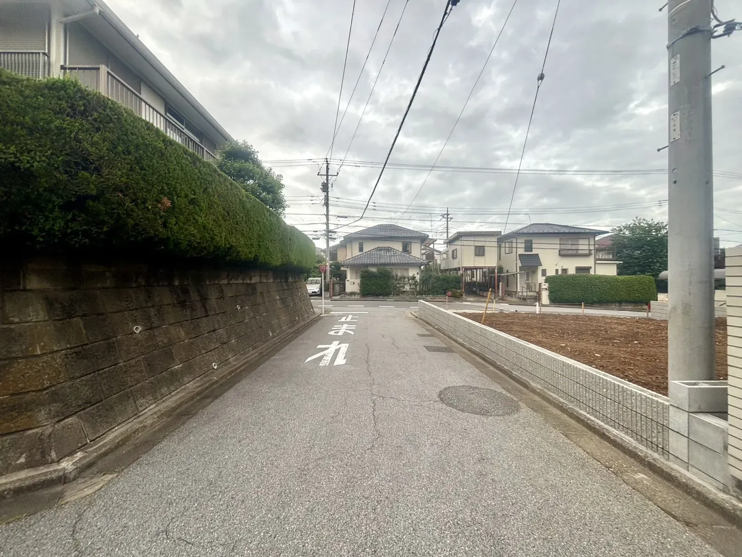 現地写真