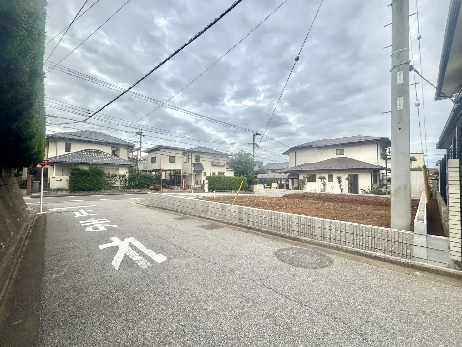 現地写真