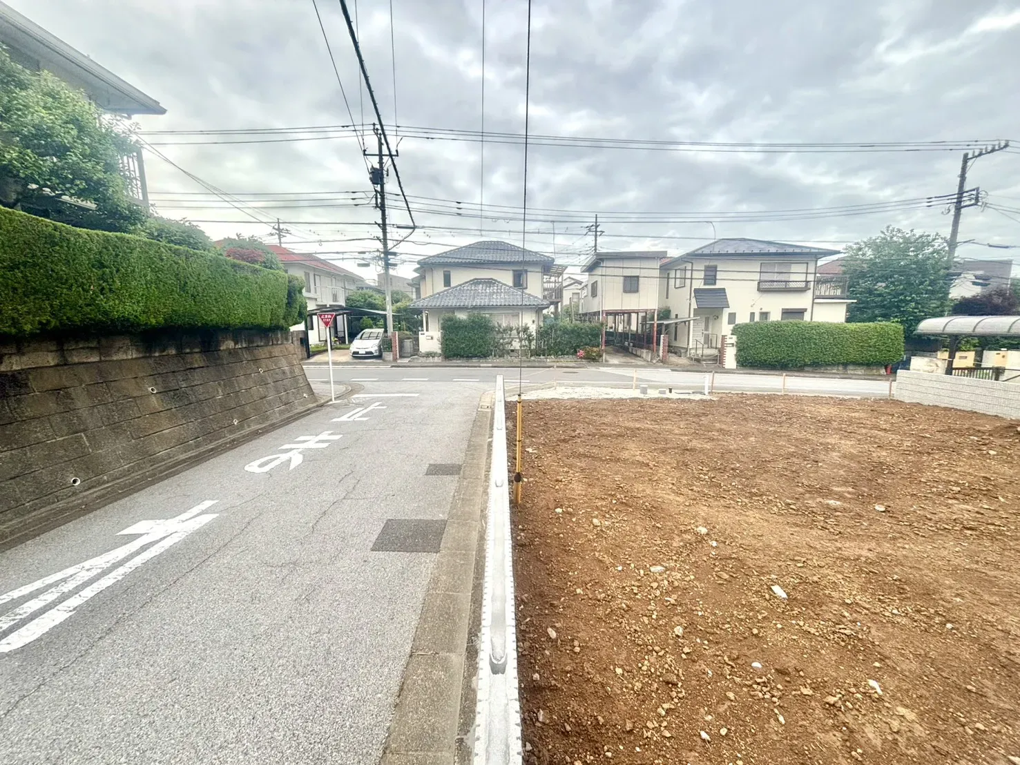 現地写真