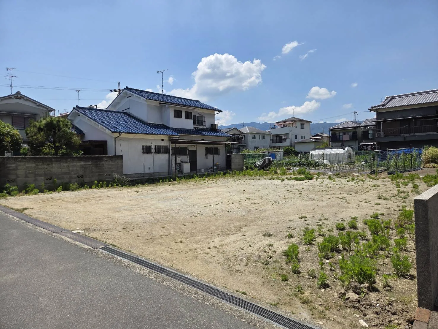 2026年6月上旬現地撮影