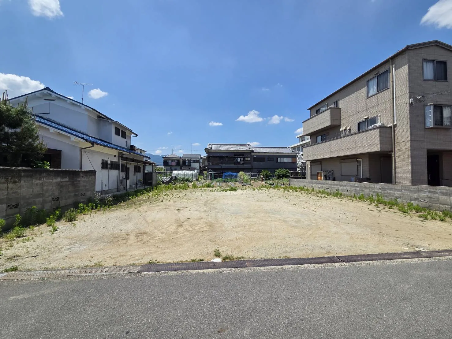 2026年6月上旬現地撮影